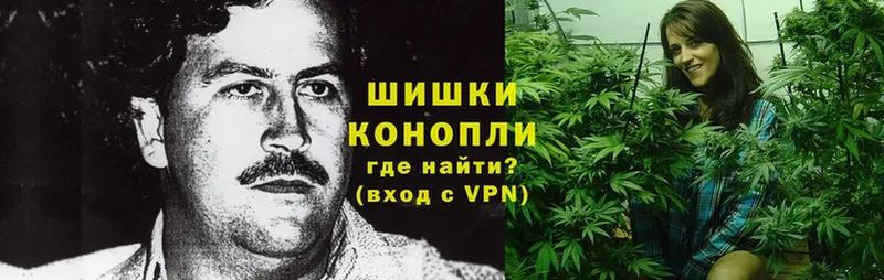 Бошки марихуана THC 21%  даркнет сайт  Тайга 